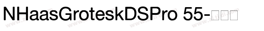 NHaasGroteskDSPro 55字体转换